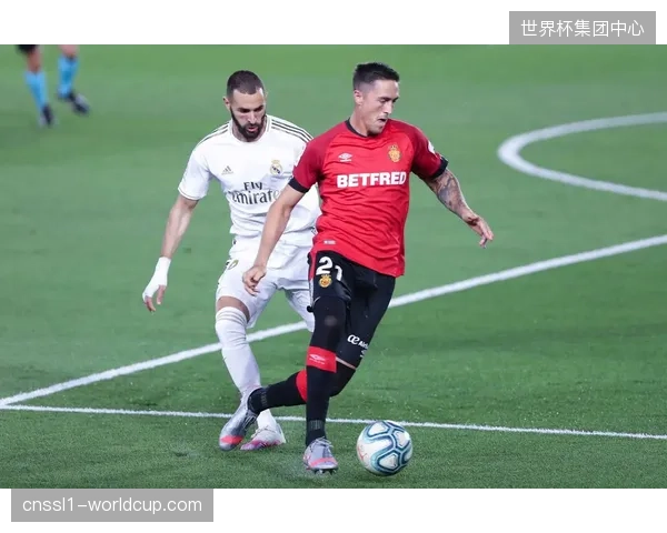 官方数据显示区域防守与盯人混合使用成为新趋势，防守效率决定球队上限